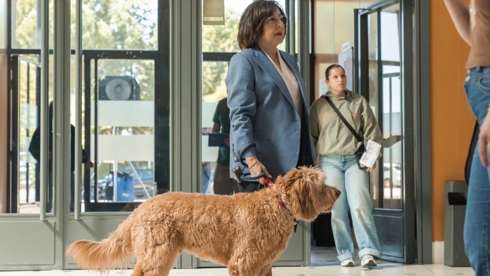 ‘Killing a Bear,’ ‘Celeste’ S2, Make Serielizados 2026 Competition Cut