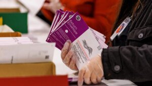 Election expert questions safeguards amid noncitizen voter roll dispute
