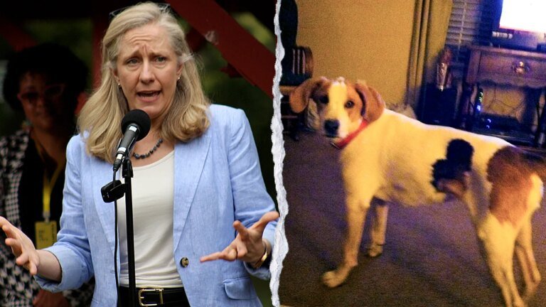 Spanberger’s office restores voting rights to dead dog, probe sought